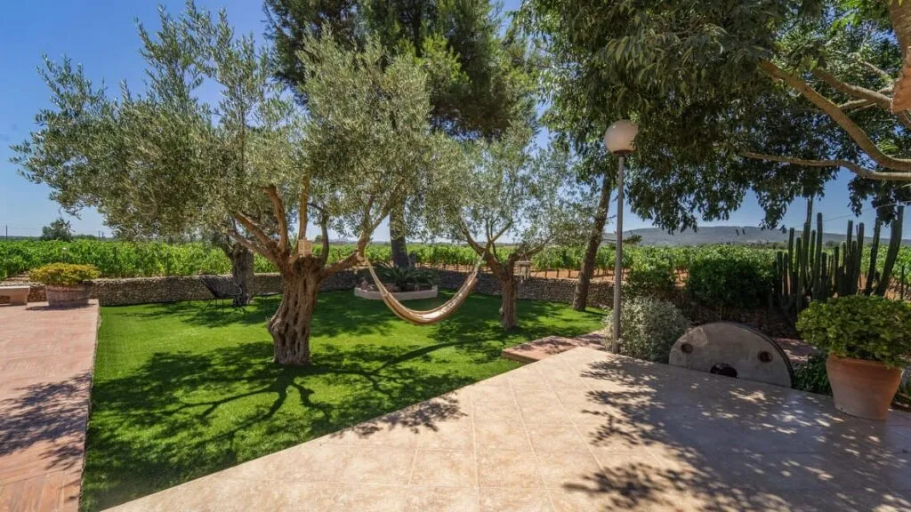 C&ograve;pia de 5B09479C-11CF-41E5-9D63-C45F2D41D94D_1_105_c (1)