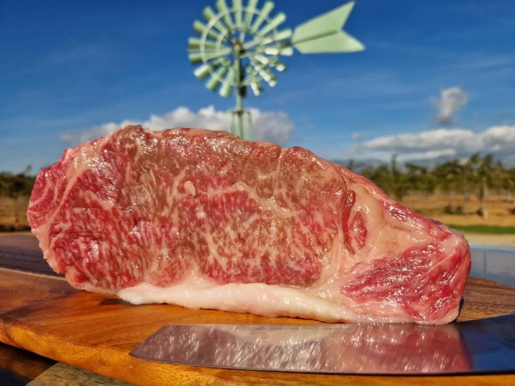 PHOTO-2025-10-26-12-09-04 2