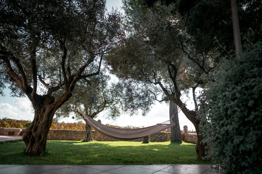 PHOTO-2025-11-01-21-46-57 2