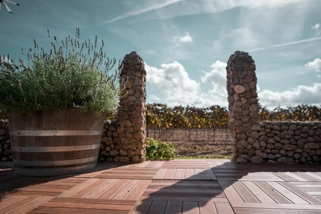 PHOTO-2025-11-01-21-46-57 4