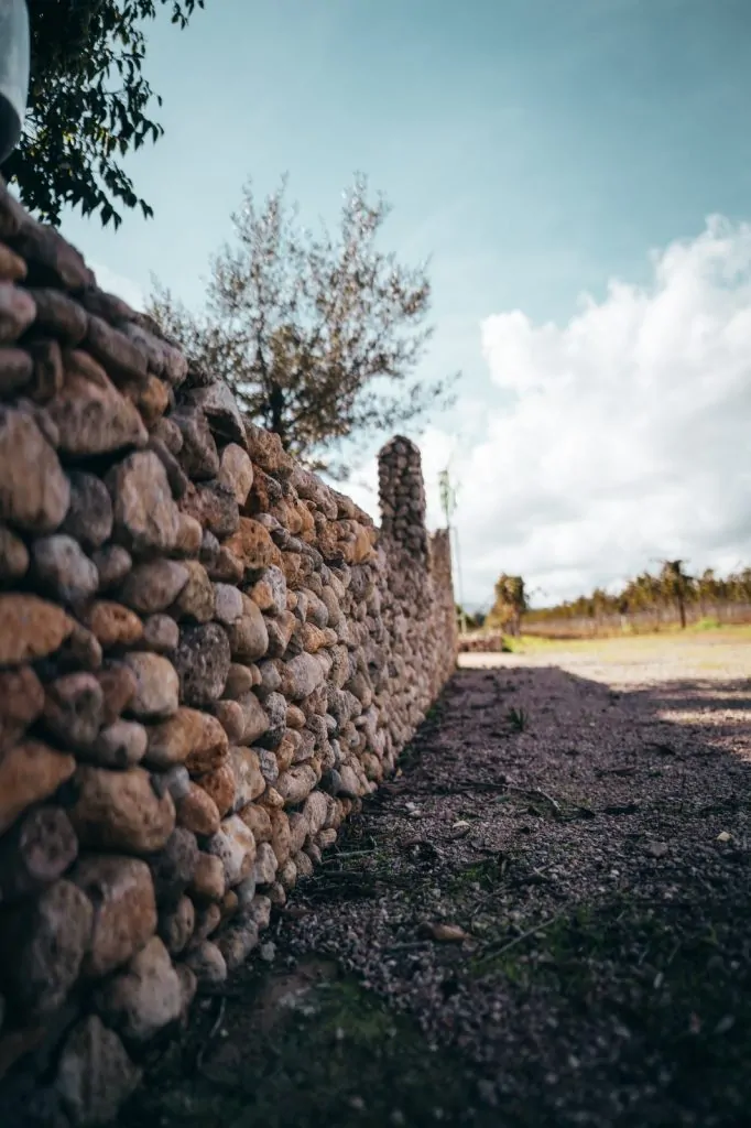 PHOTO-2025-11-01-21-46-58 2