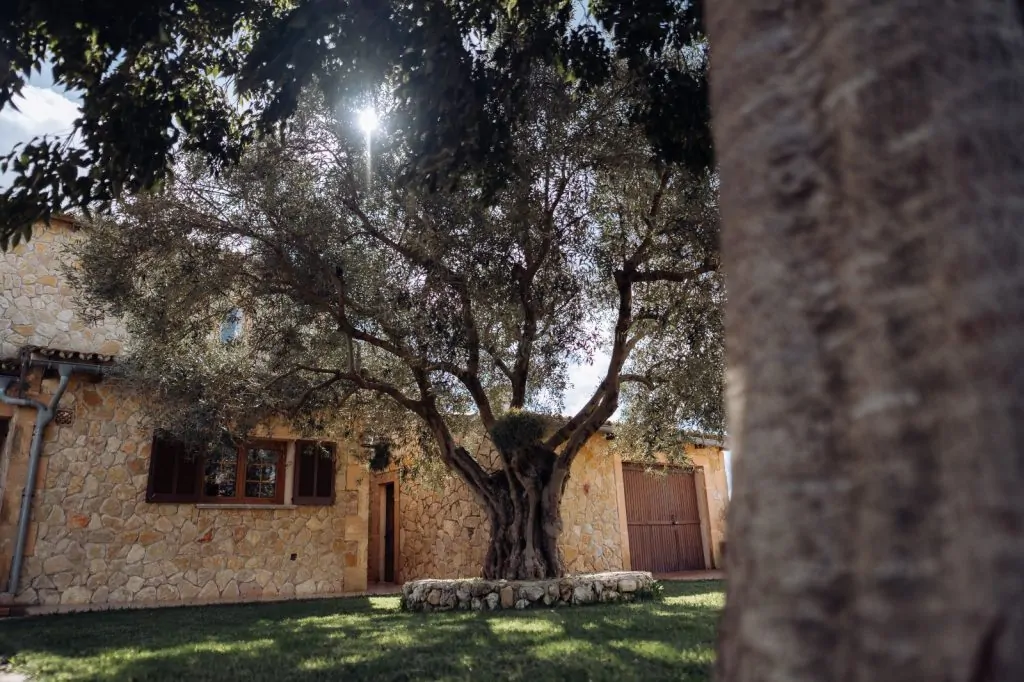 PHOTO-2025-11-01-21-46-58 3