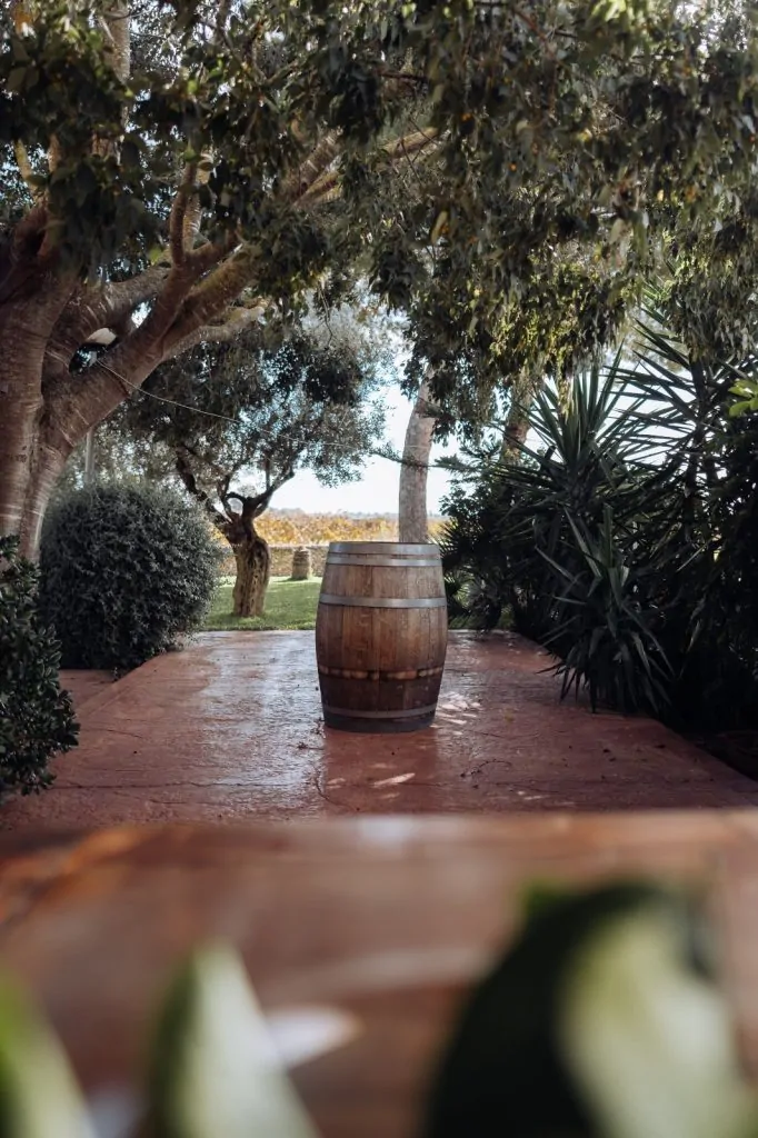 PHOTO-2025-11-01-21-46-59 5