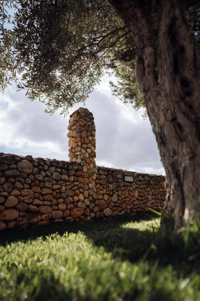 PHOTO-2025-11-01-21-47-00